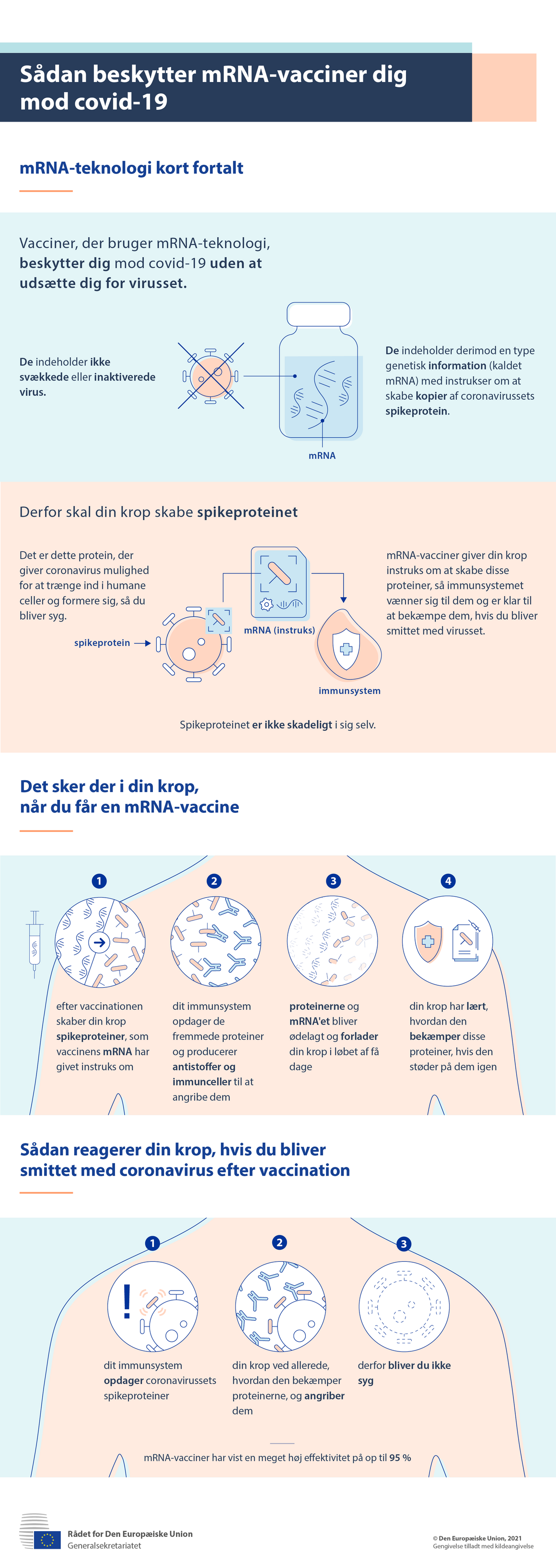 Infografik: Sådan beskytter mRNA-vacciner dig mod covid-199	