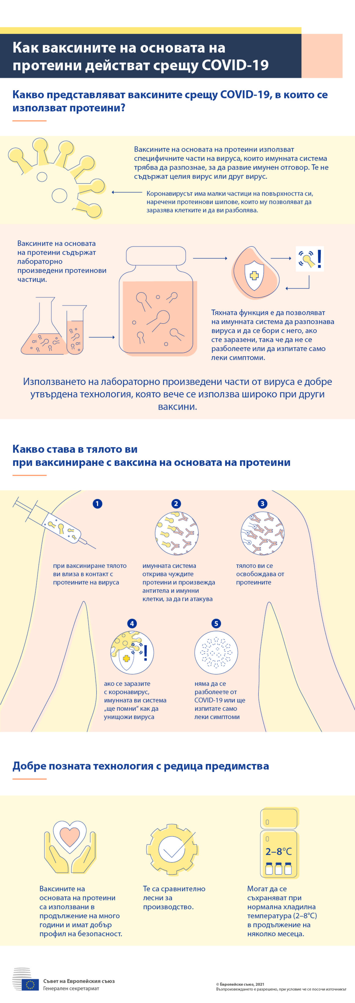 Инфографика — Как ваксините на основата на протеини действат срещу COVID-19