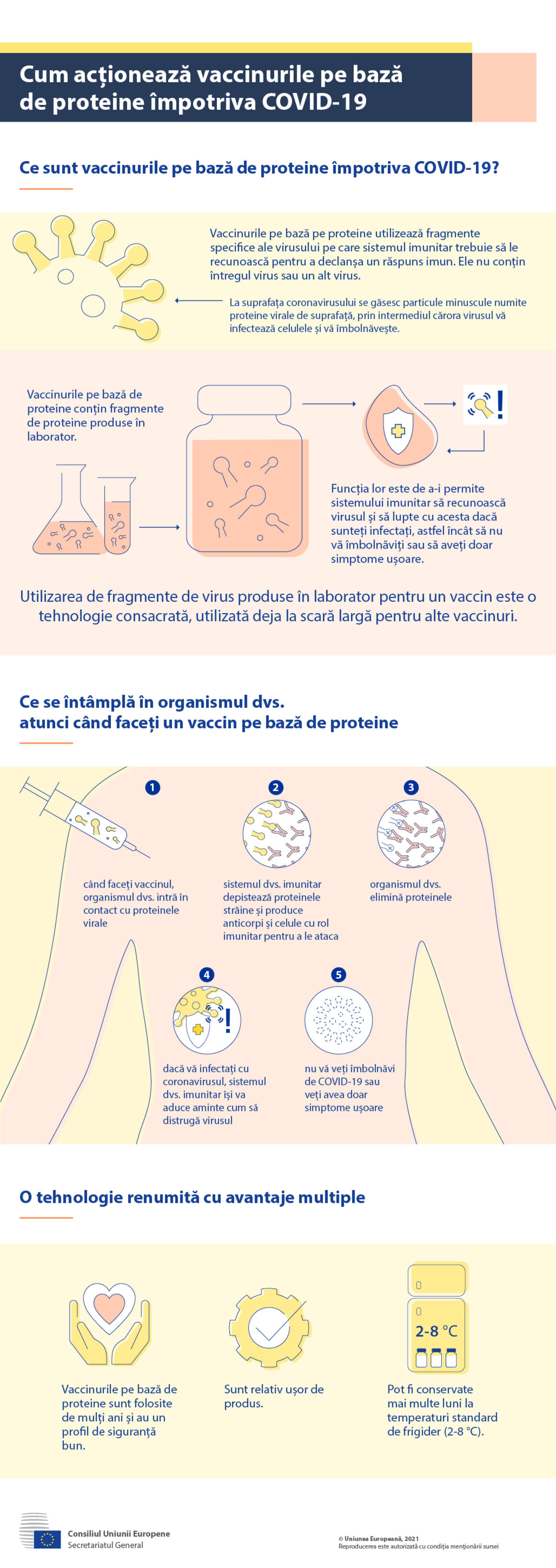Infografic - Cum acționează vaccinurile pe bază de proteine împotriva COVID-19