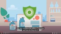 Cover for the video: Monitoring the safety of vaccines in Europe